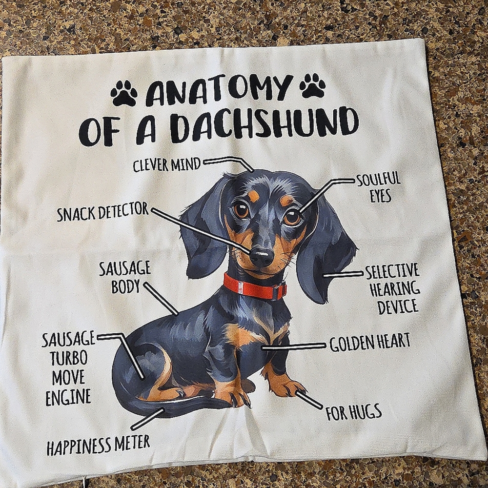 ANATOMY OF A DACHSHUND WEINER DOG 18" WHITE THROW PILLOW CASE COVER ZIPPER NEW